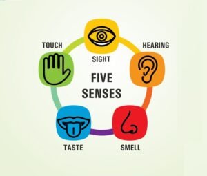Sensory
